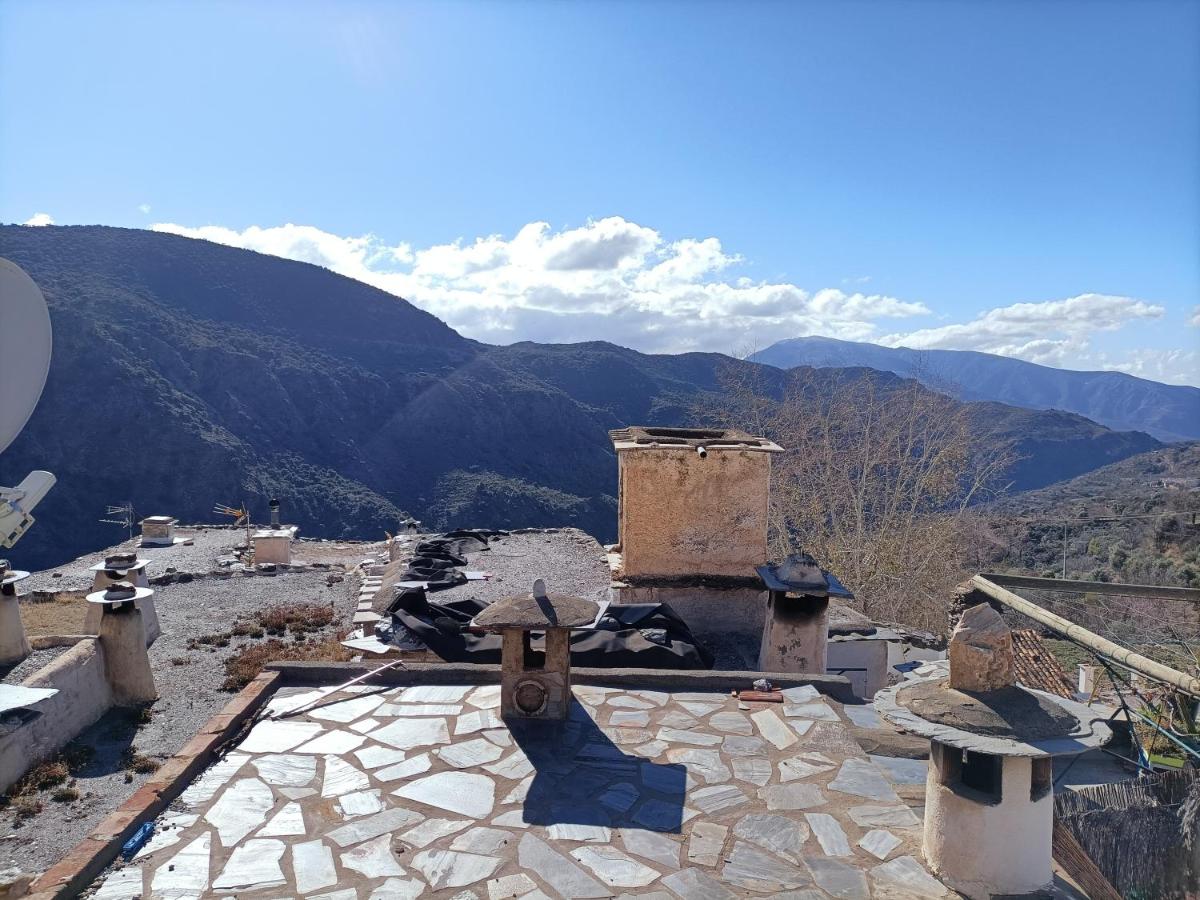 Castaño Real, Atalbéitar – Precios actualizados 2022