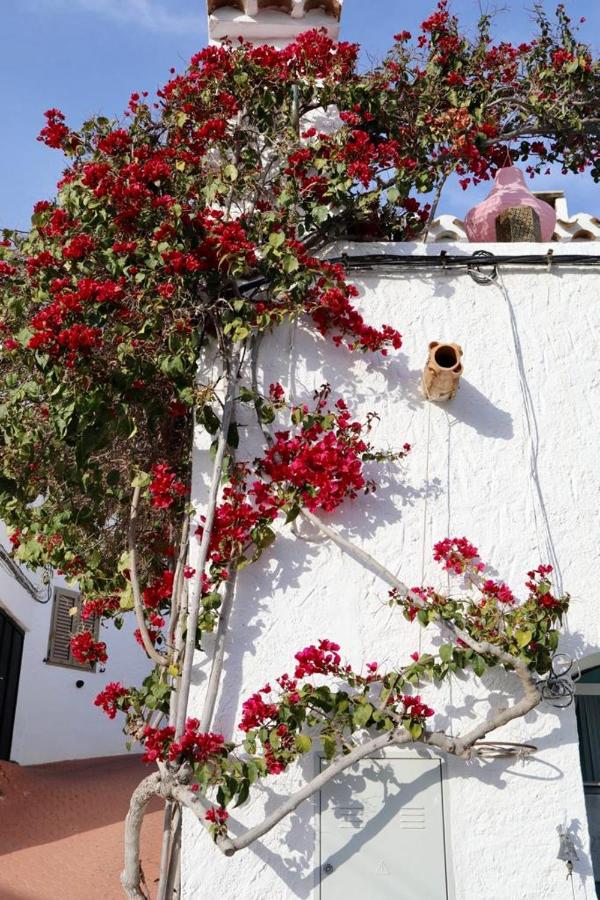 Casa Caballito De Mar Boutique B&B, Bédar – Updated 2022 Prices