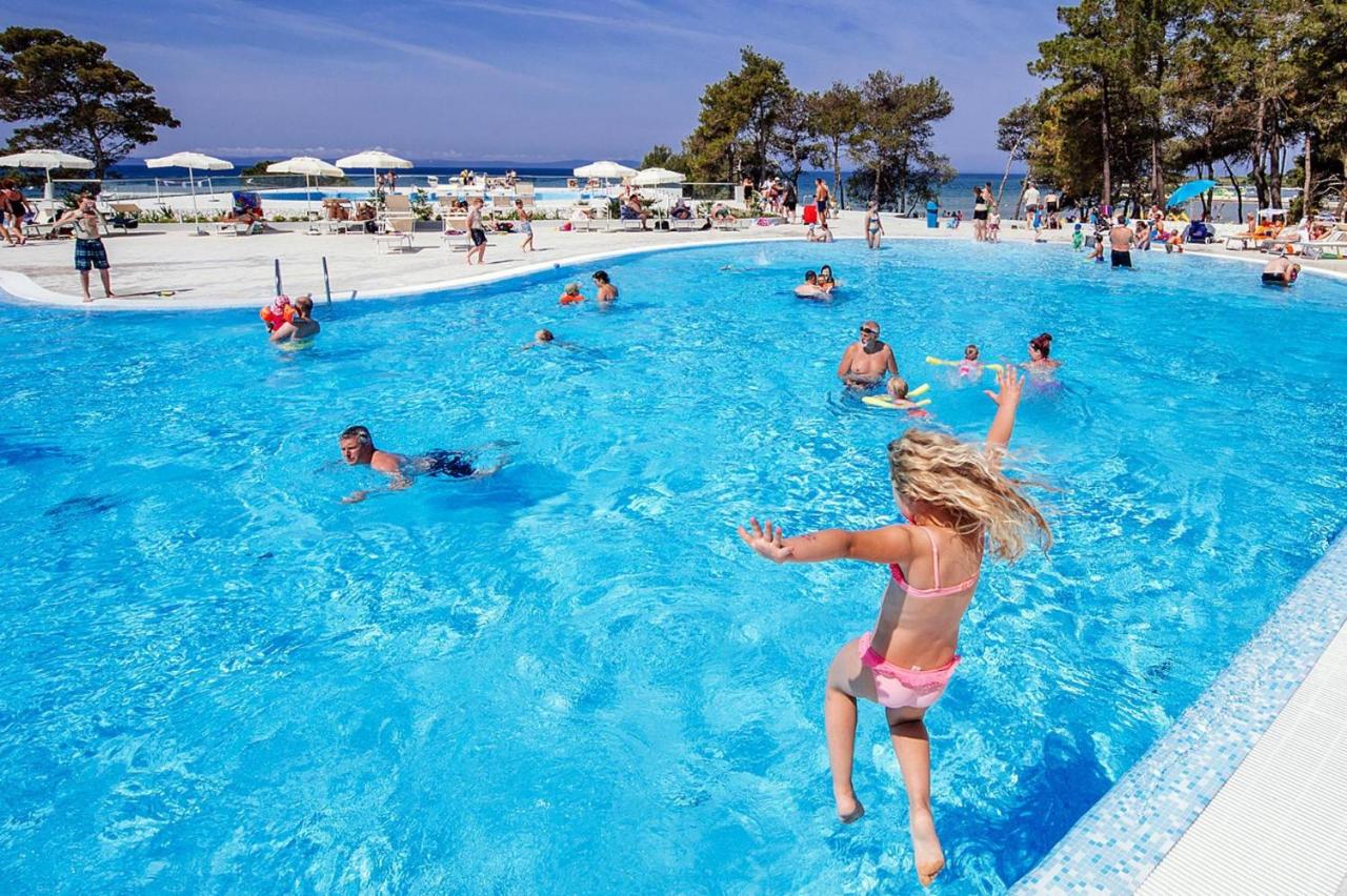 Heated swimming pool: Apartment in Zaton-Nin not far from the sea