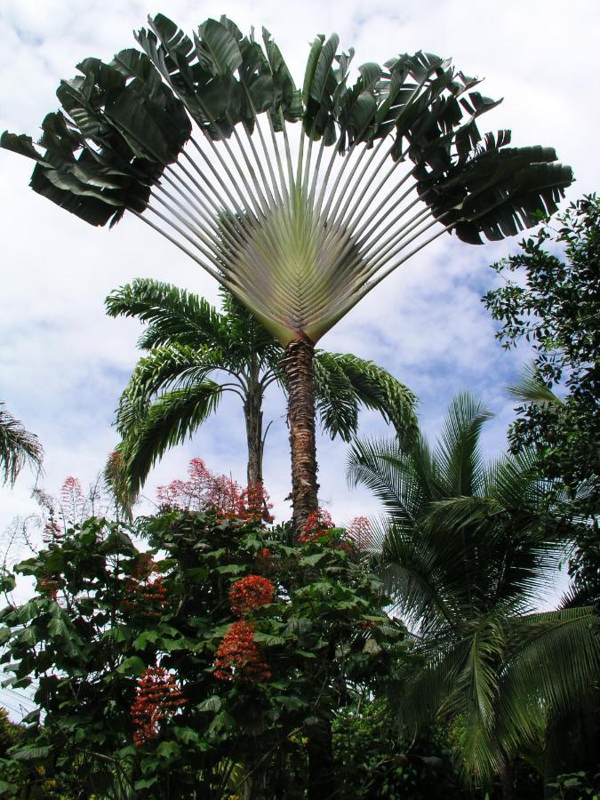 Tierra de Sueños Lodge & Wellness Center photo