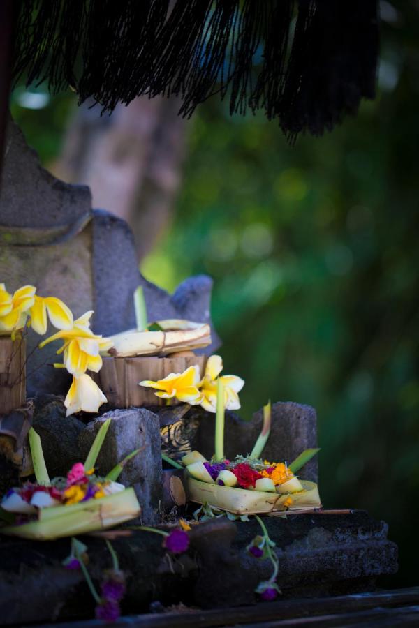 Bali Chaya Hotel Legian - 4