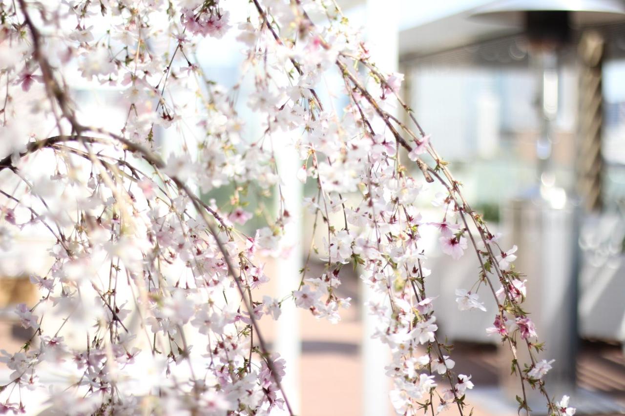 THE KITANO HOTEL TOKYO - 4