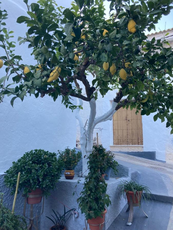 Casa Linda ist ein Ferienhaus in Guaro, Andalusien, Spain ...