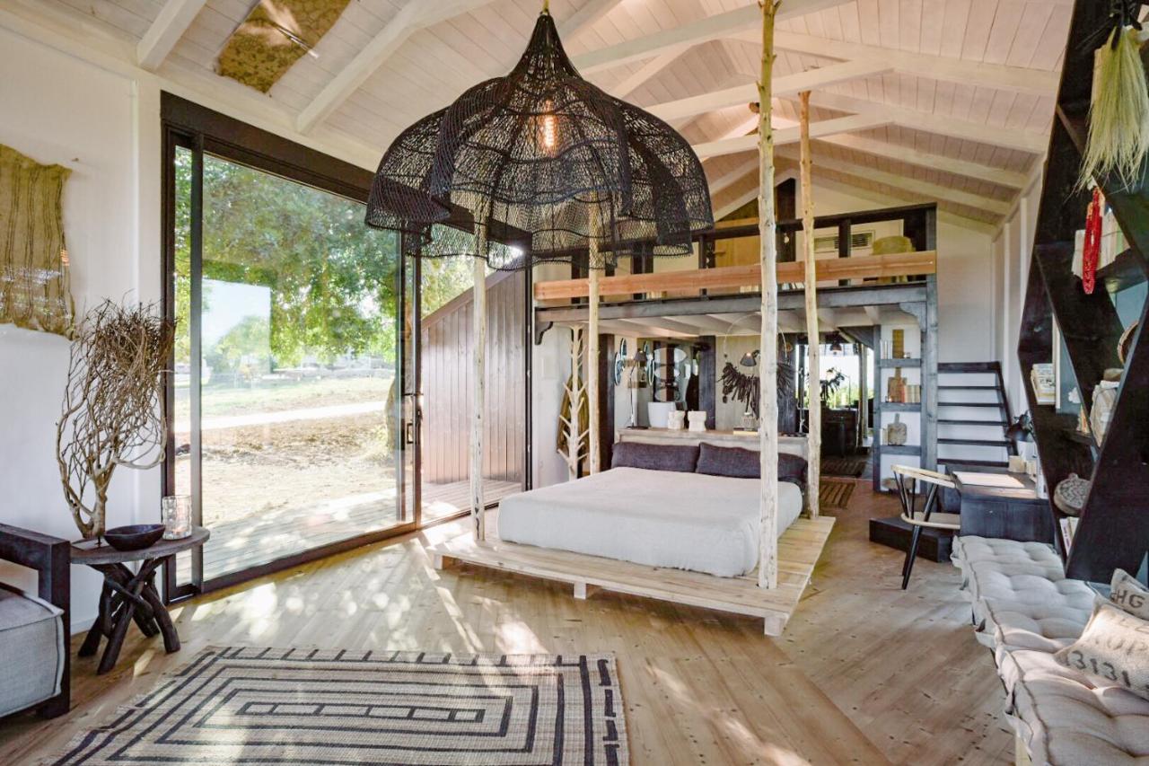 Conversas de Alpendre - 2