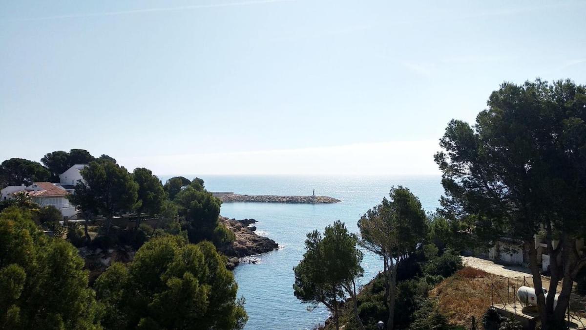 Arnold Davala Zavala, Tarragona – Updated 2022 Prices