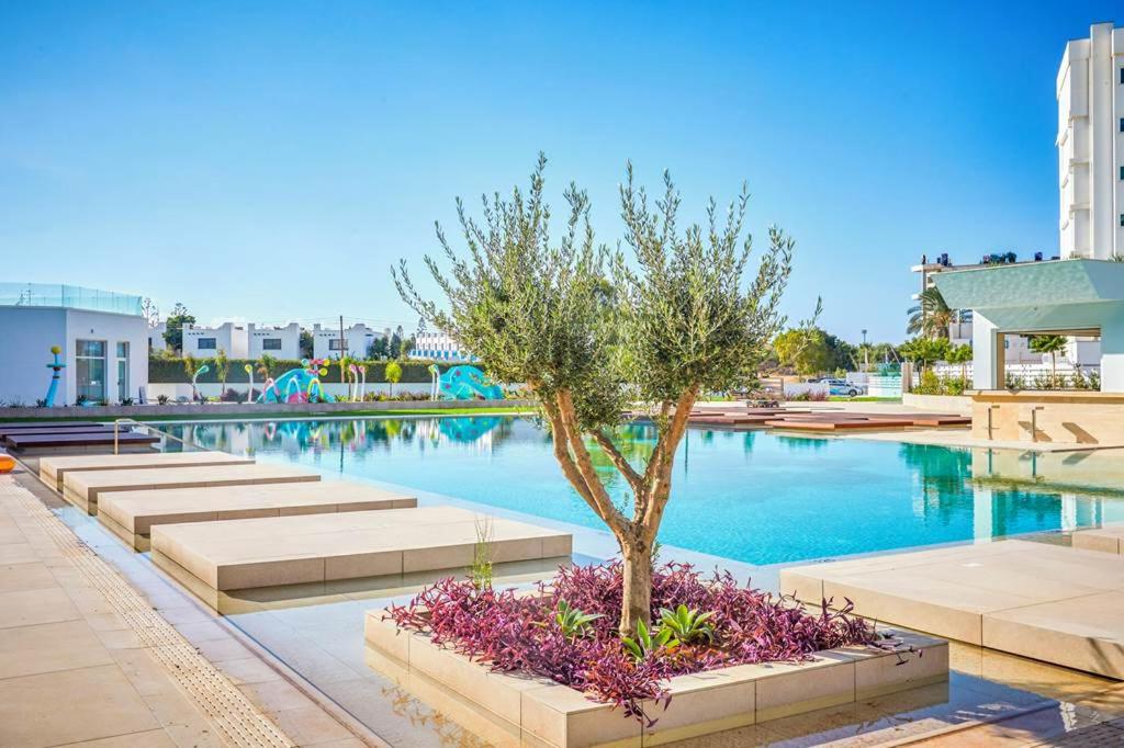 Chrysomare Beach Hotel & Resort photo