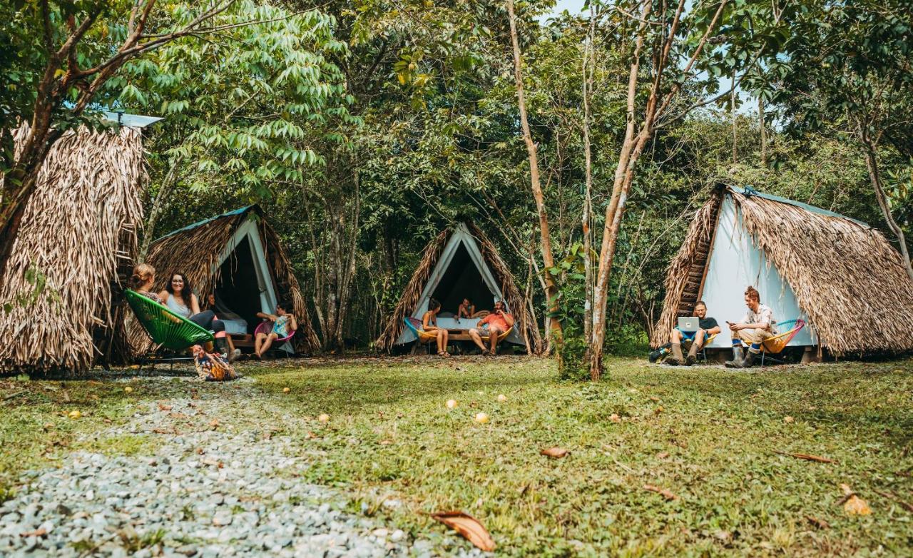 The Jungle Lodge at Kalu Yala, Panamá – Precios 2023 actualizados