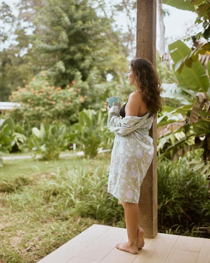 Sonora Jungle & Yoga Retreat photo
