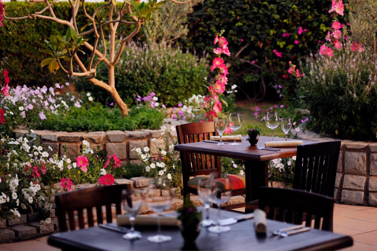 Naama Bay Promenade Beach Resort Managed By Accor photo