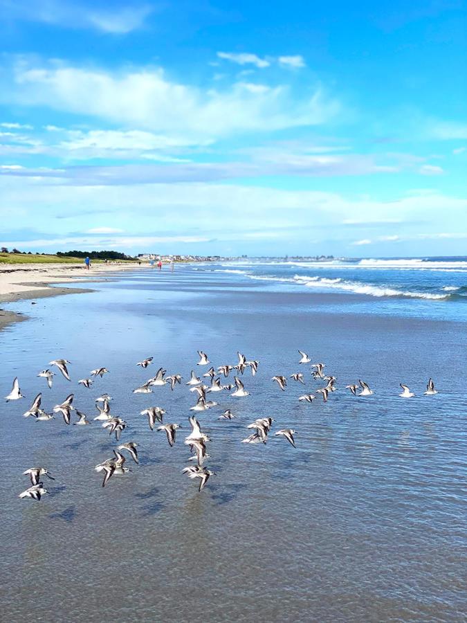 Ocean Acres Ogunquit — photo 15