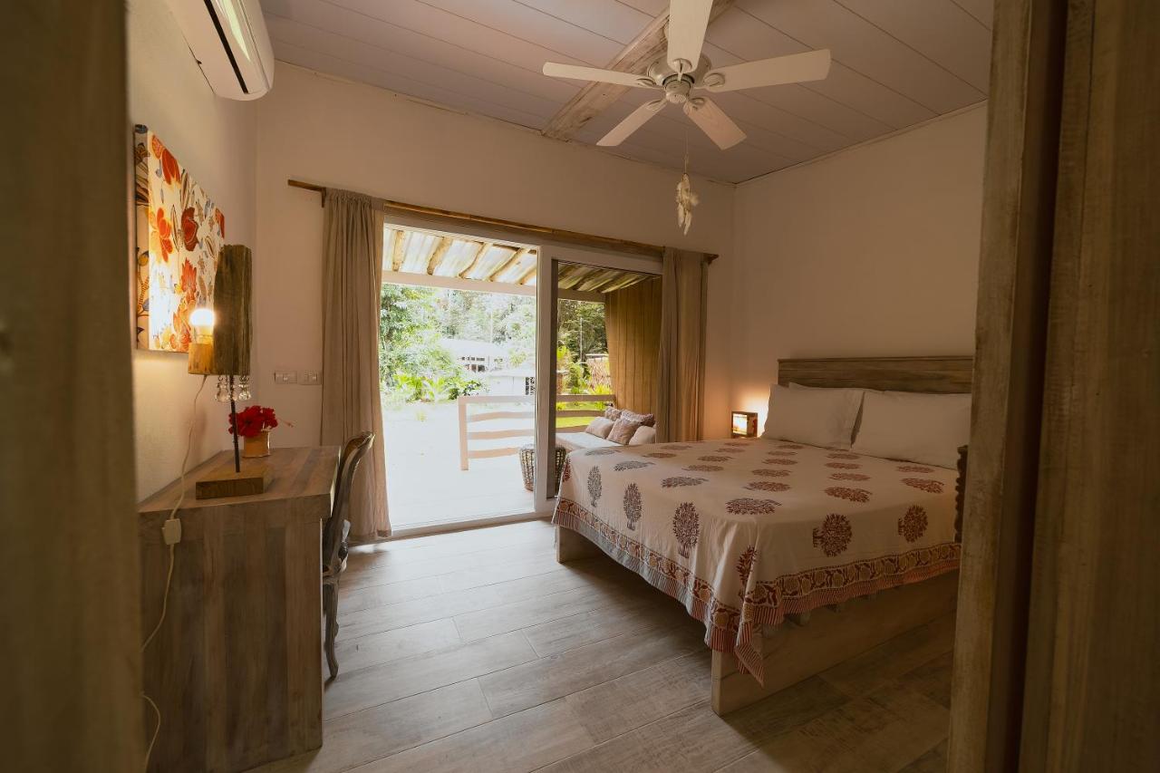 Sonora Jungle & Yoga Retreat photo