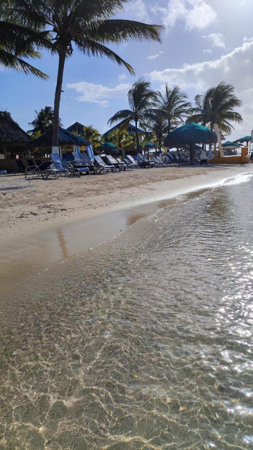 Beach: Las Palmas - New Horizon