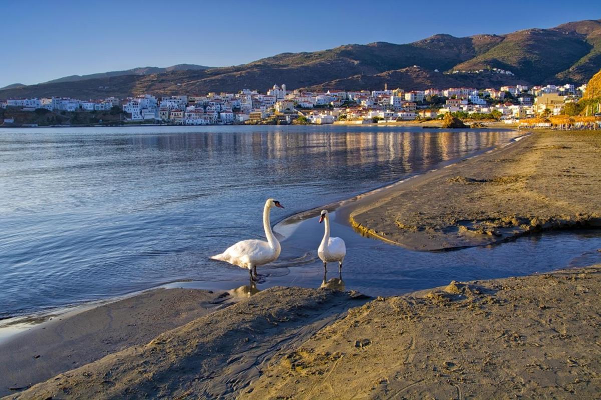 Beach: Kontos-Traditional house in Andros beach