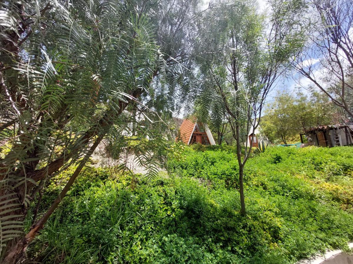 Colibrí Eco Lodge & Camping photo