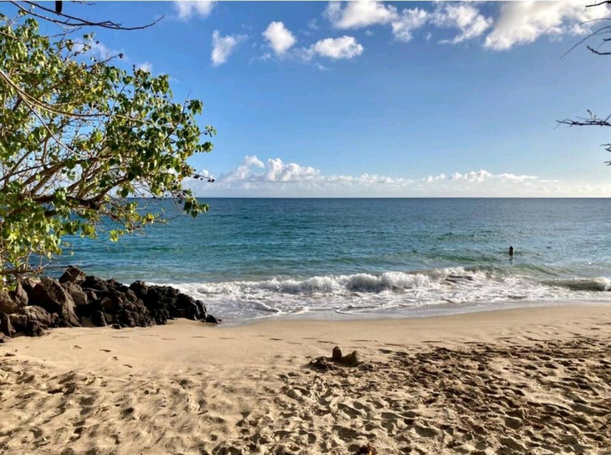 Beach: Grey Diamond Studio