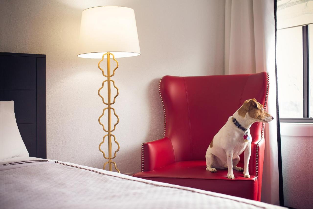 Capitol Hill Hotel — photo 8