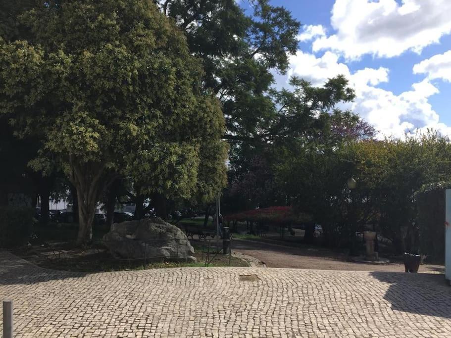 Cozy Estrela Apartment - 5