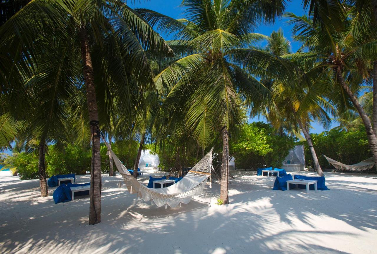 Hotel, plaża: Velassaru Maldives
