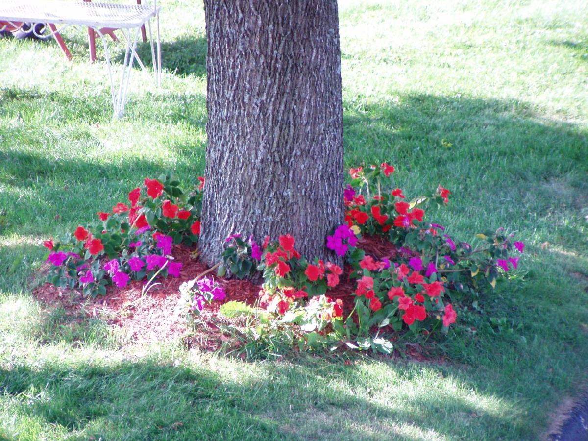 Sunset Inn — photo 12