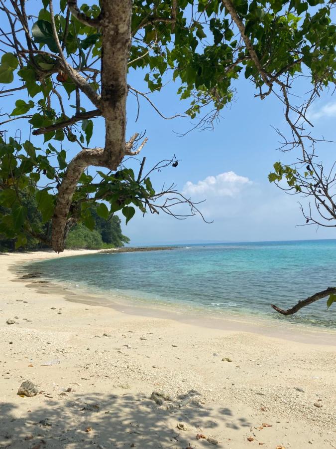 Beach: Satya Boutique Resort & Spa