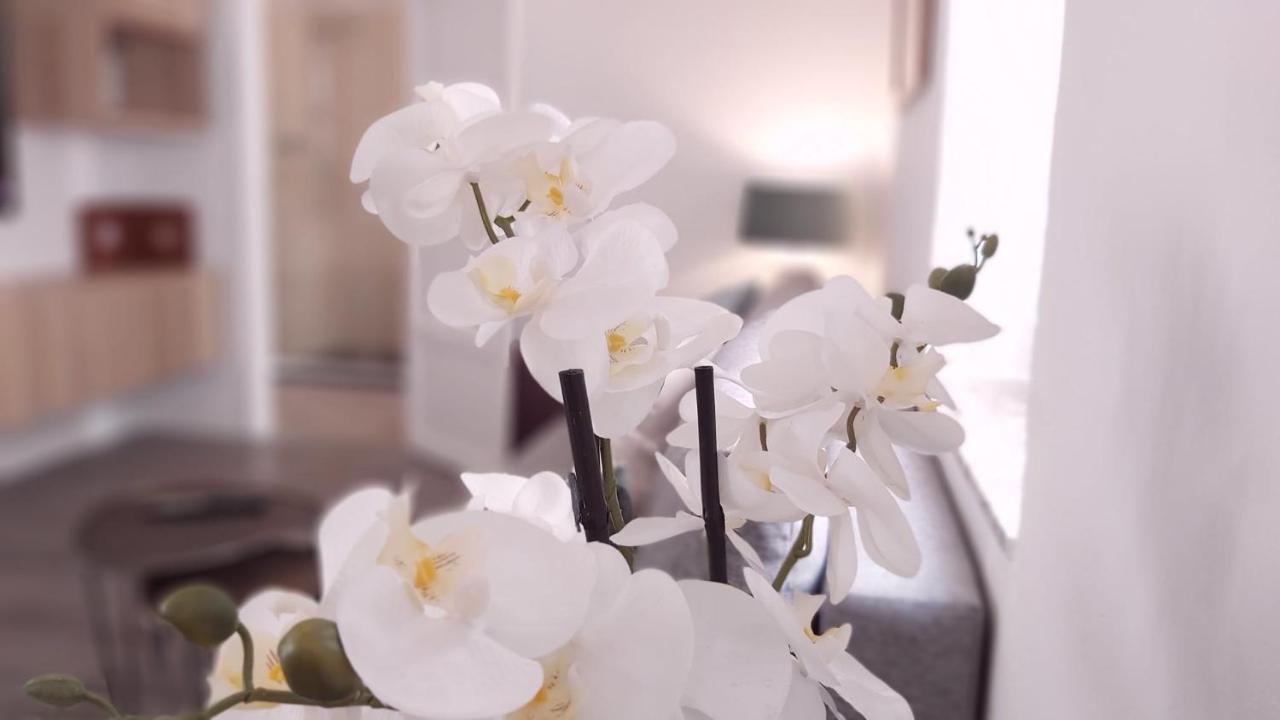 Del Parque Flats Alamos Terraza