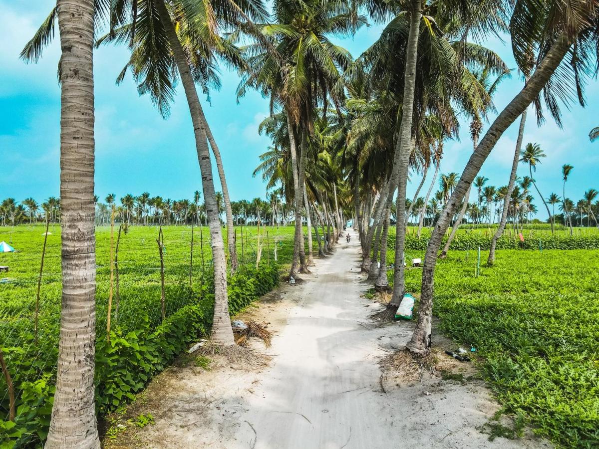 Beach: Riyaludhathuru Maldives