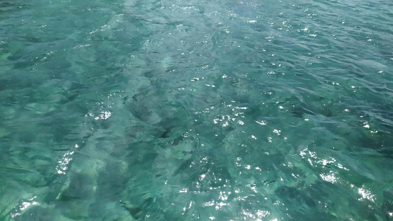 Beach: A L'Arche Bleue