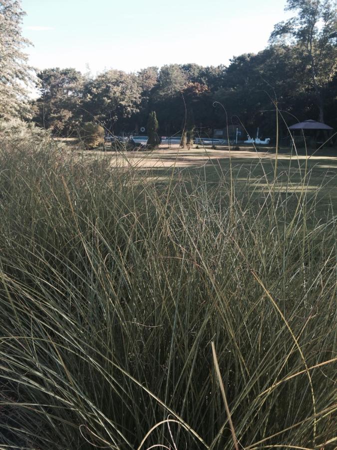 Hamlet Inn - PASSES TO COOPERS BEACH — photo 18