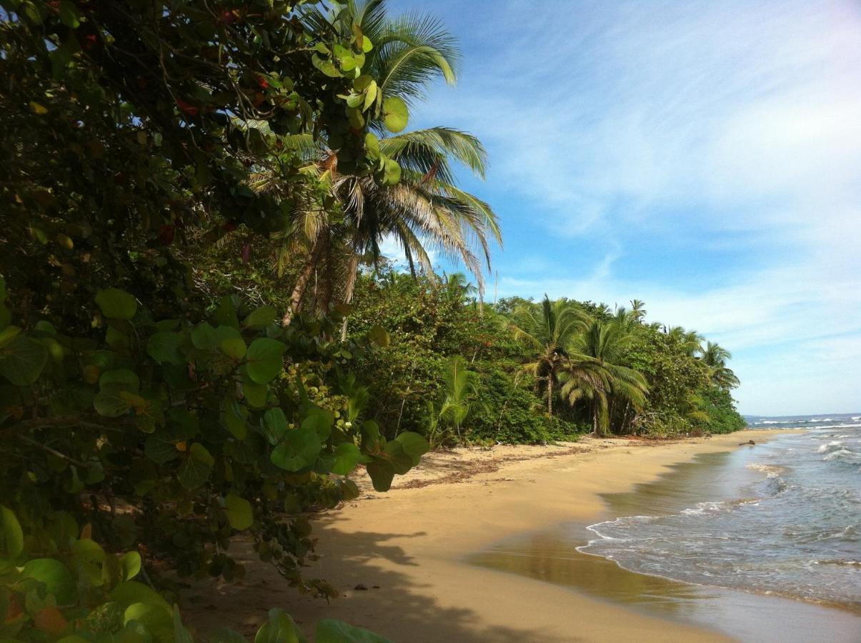 Mar Verde Lodge photo