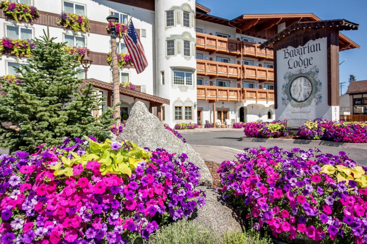 Bavarian Lodge — photo 1