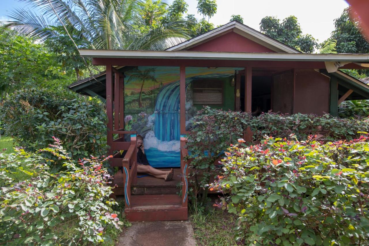 Backpackers Vacation Inn and Plantation Village — photo 20