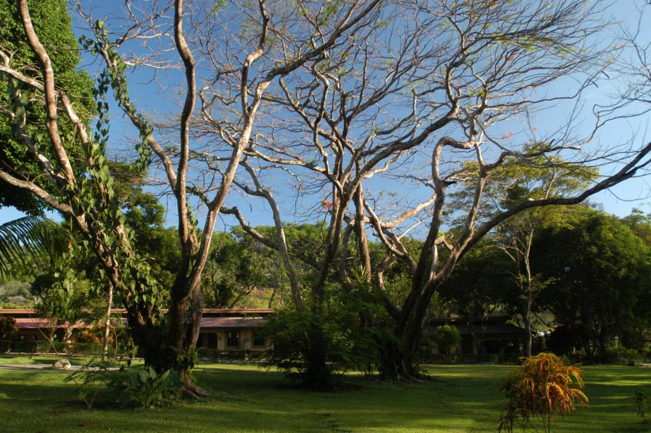 Jaco Hotel DoceLunas photo