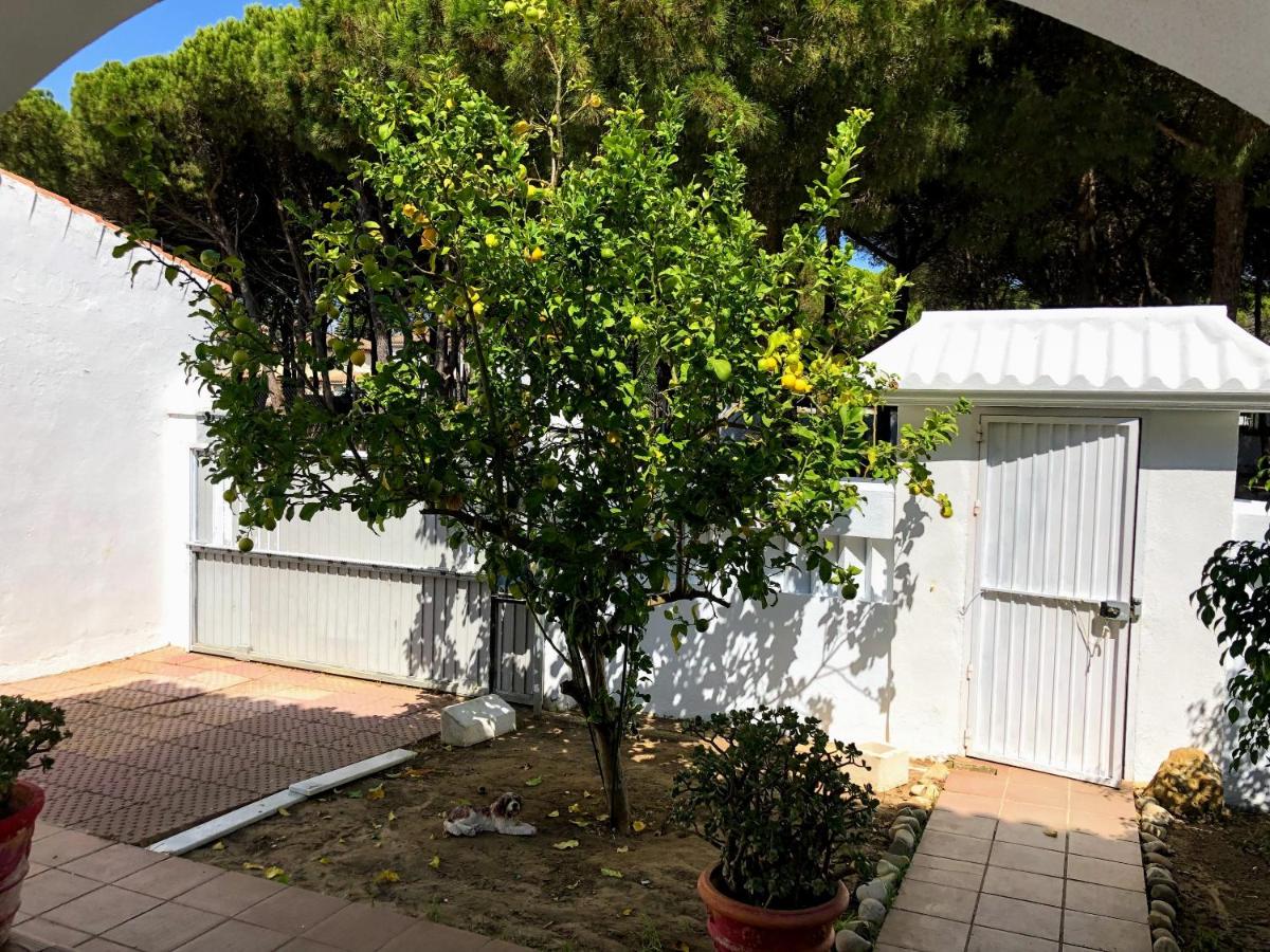 Chalet Nervión cerca la Barrosa, Chiclana de la Frontera ...