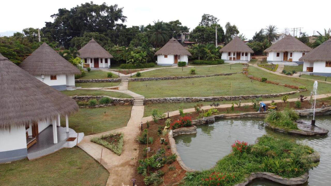 Village Noah photo