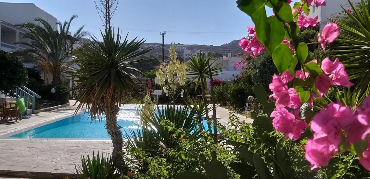 Ariadne Pool Studio at Ornos - 4