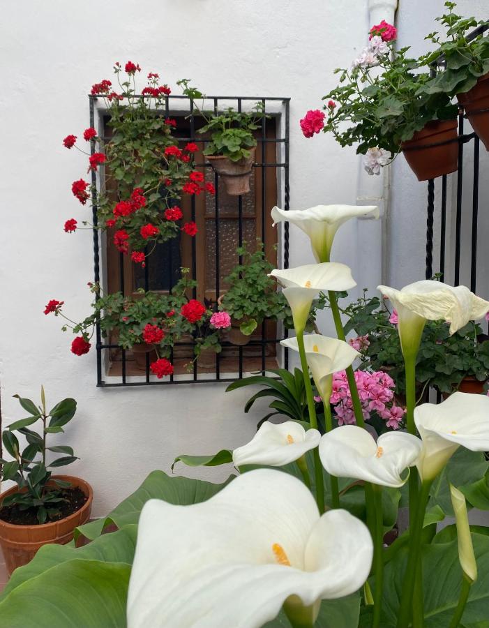 El patio de Regina, Córdoba – Bijgewerkte prijzen 2022