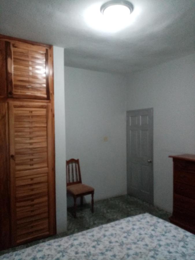 Fairy Hill Palms - 4