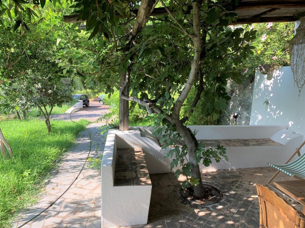 Casa La Pineta - con giardino e vista mare photo