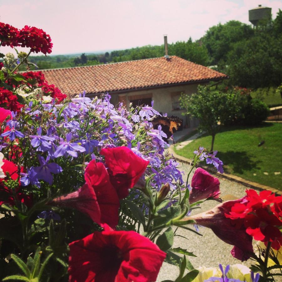 Agriturismo Fruttirossi photo