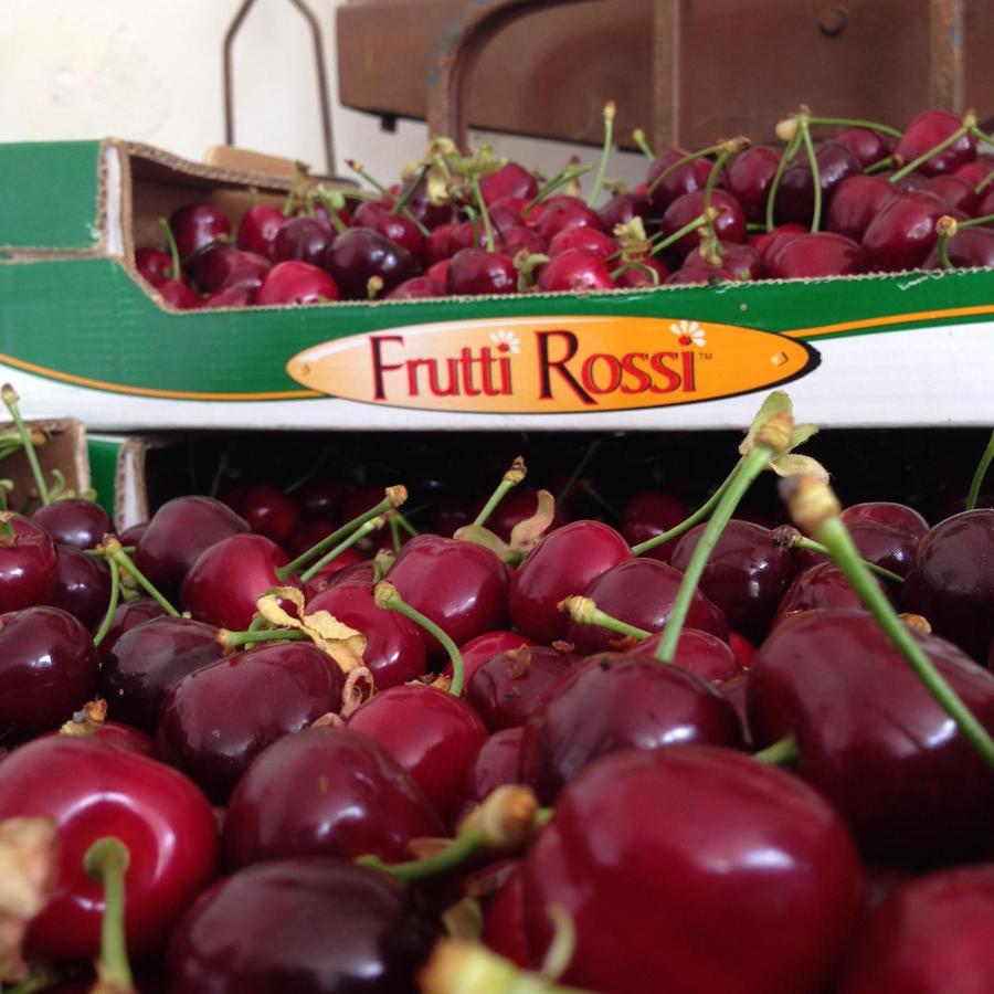 Agriturismo Fruttirossi photo