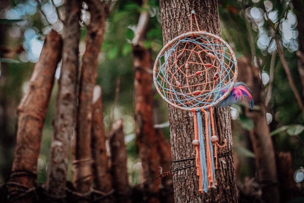 Lunita Jungle Experience photo
