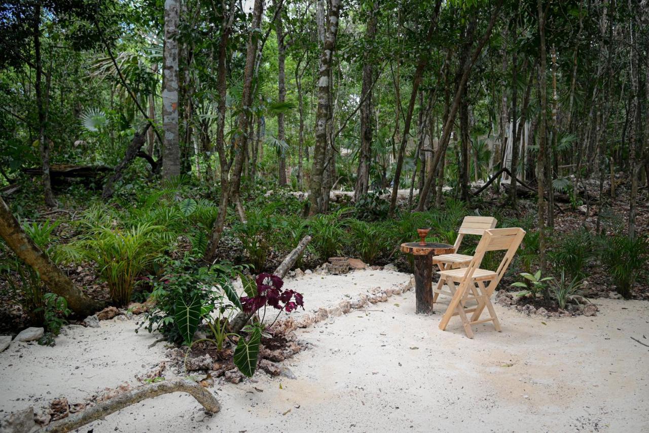 Lunita Jungle Experience photo