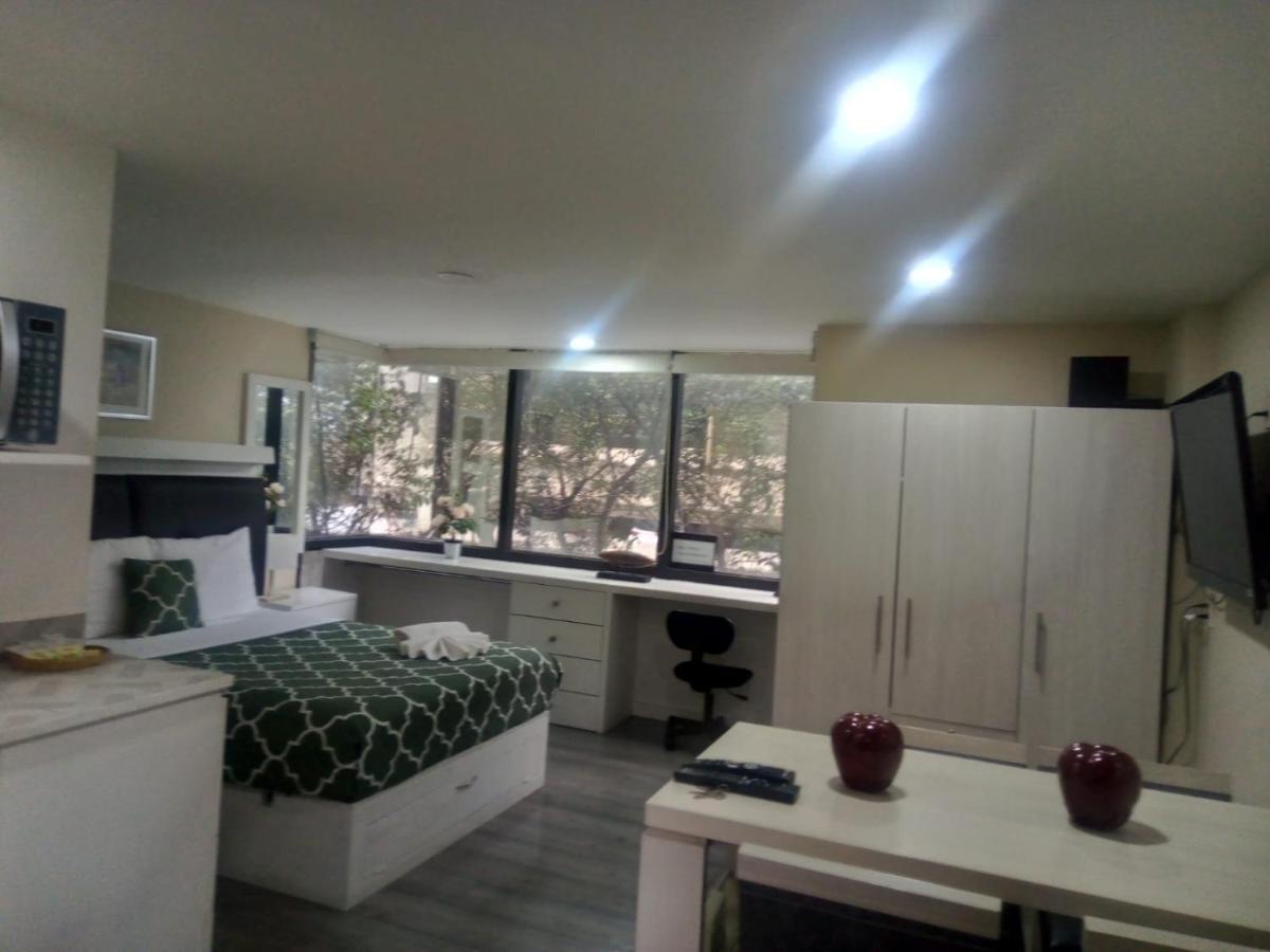 Lovely loft at the business heart of Mexico City - 4