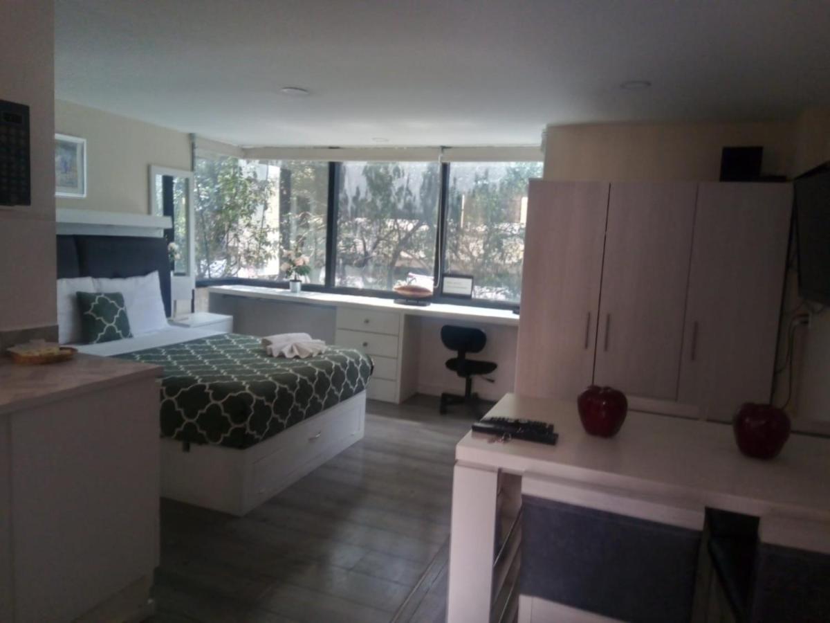 Lovely loft at the business heart of Mexico City - 2