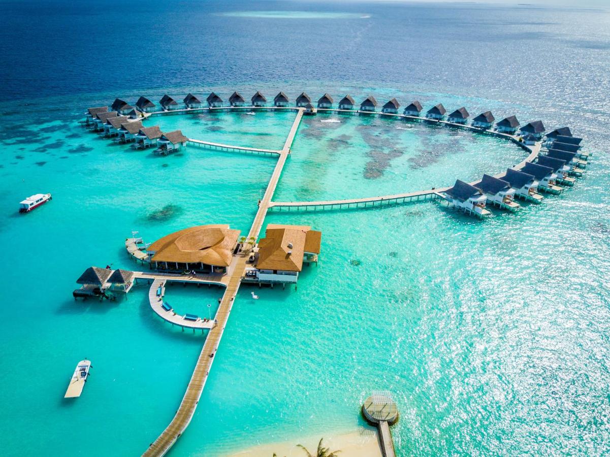 The Centara Collection, Machchafushi Island Resort & Spa Maldives - Stay 5 nights or more and enjoy 25 percent off Seaplane transfers, valid for stays from 10 Apr to Sep 2026 - 2