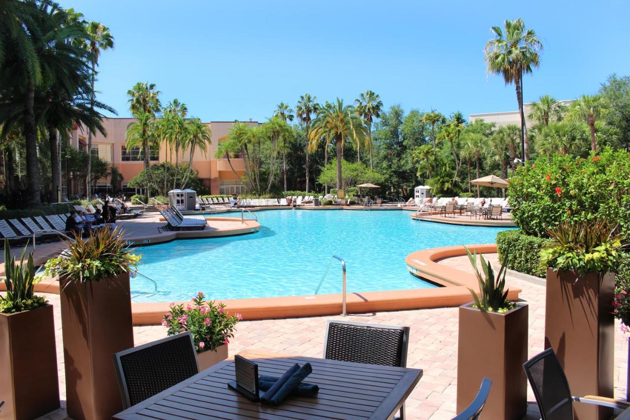Heated swimming pool: Rosen Centre Hotel Orlando Convention Center