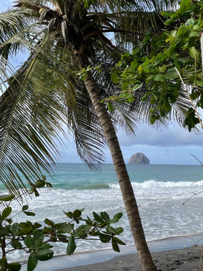 Beach: Kaz Madinina Colibri