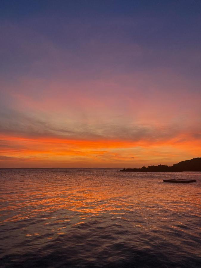 Hibiscus Beach House photo