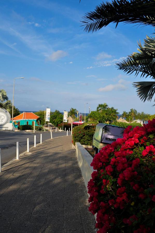 Hibiscus Beach House photo