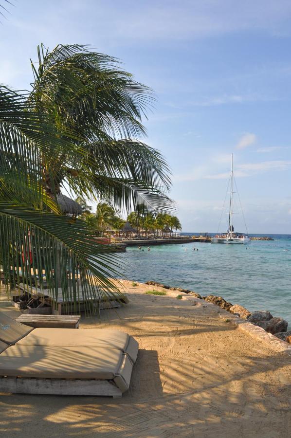 Hibiscus Beach House photo